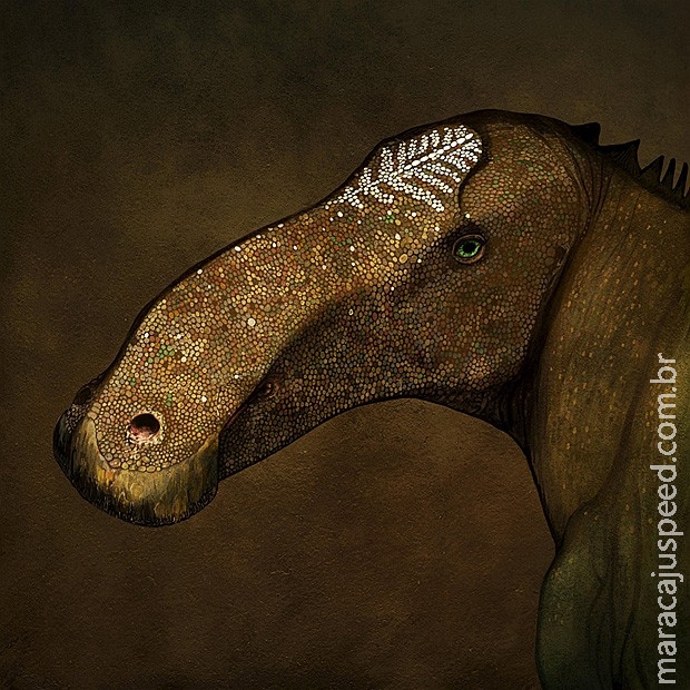 Dinossauro "superpato" achado nos EUA explica evolução de focinhos Dinossauro "superpato" achado nos EUA explica evolução de focinhos