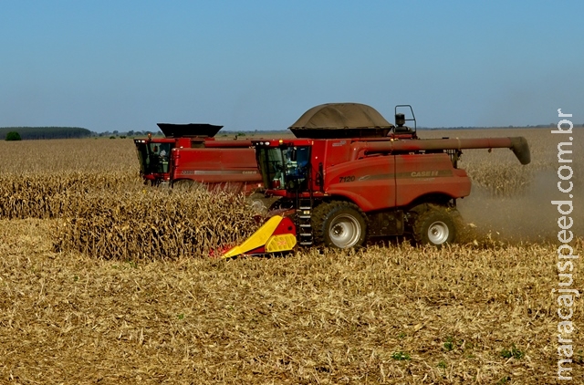 FMC lança novo fungicida para milho no Mato Grosso do Sul FMC lança novo fungicida para milho no Mato Grosso do Sul