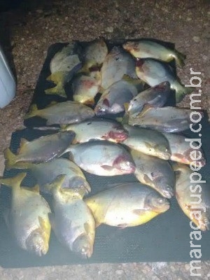 Pescador é preso em MS com 40 quilos de peixe durante piracema Pescador é preso em MS com 40 quilos de peixe durante piracema