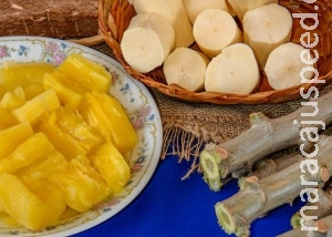Pesquisa desenvolve mandiocas biofortificadas nas cores creme, amarela e rosada Pesquisa desenvolve mandiocas biofortificadas nas cores creme, amarela e rosada