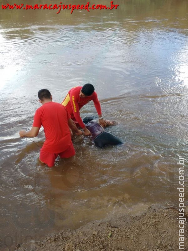 Rio Brilhante: Corpo de criança desaparecida no Rio Vacaria é encontrada após três dias de intensa procura pelo Corpo de Bombeiros de Maracaju