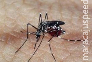 Complicações do vírus Zika ainda estão sendo conhecidas, dizem especialistas Complicações do vírus Zika ainda estão sendo conhecidas, dizem especialistas