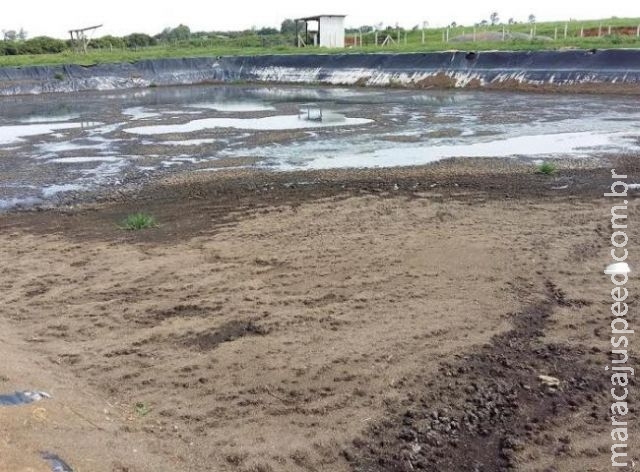 Suinocultor é multado em R$ 30 mil por causar poluição de solo com dejetos Suinocultor é multado em R$ 30 mil por causar poluição de solo com dejetos