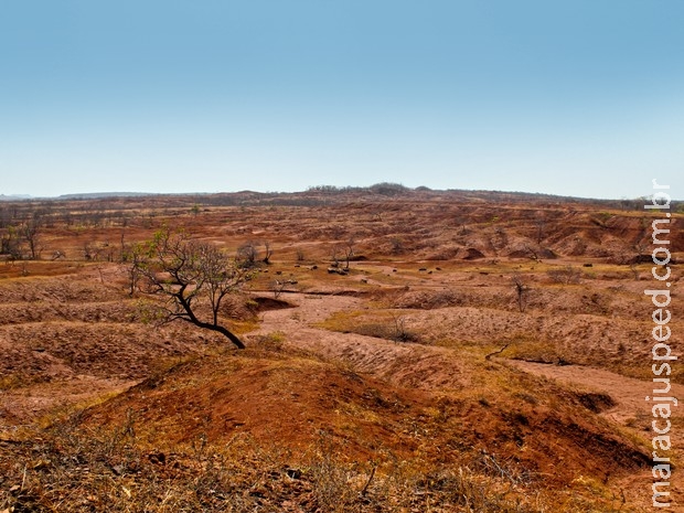 Desertificação no Piauí já é 5 vezes maior que a cidade de São Paulo