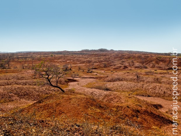 Desertificação no Piauí já é 5 vezes maior que a cidade de São Paulo Desertificação no Piauí já é 5 vezes maior que a cidade de São Paulo