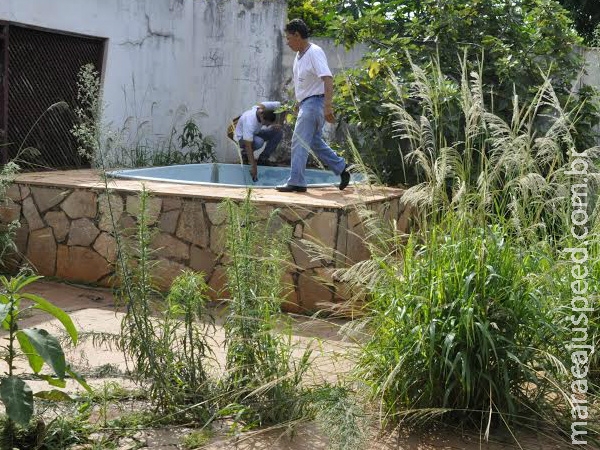 Casos de dengue aumentam 40 vezes em relação a 2014 Casos de dengue aumentam 40 vezes em relação a 2014
