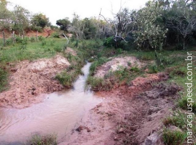 Fazendeiro é multado em R$ 127,2 mil por destruir matas ciliares de córrego 