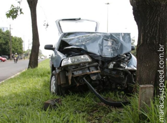 Idoso se distrai ao mexer em porta-luvas, perde controle da direção e atinge árvore