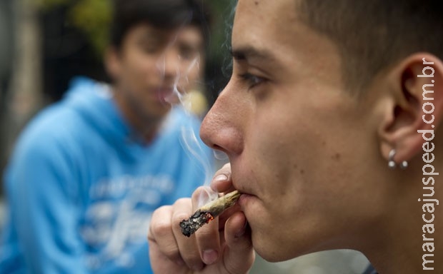 México dá permissão para cultivo e consumo de maconha a 4 pessoas México dá permissão para cultivo e consumo de maconha a 4 pessoas