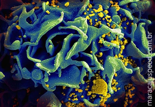Uso de "pílula do dia seguinte" do HIV aumentou 186% desde junho no Brasil Uso de "pílula do dia seguinte" do HIV aumentou 186% desde junho no Brasil