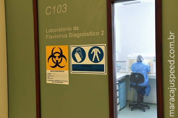 Teste de zika ainda é complexo; veja que instituições têm exame disponível Teste de zika ainda é complexo; veja que instituições têm exame disponível