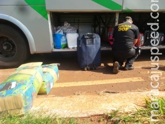 DOF faz "pente fino" na BR-463 de acesso à fronteira DOF faz "pente fino" na BR-463 de acesso à fronteira