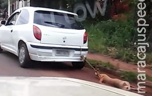 Polícia identifica dono de carro que foi flagrado arrastando cachorro