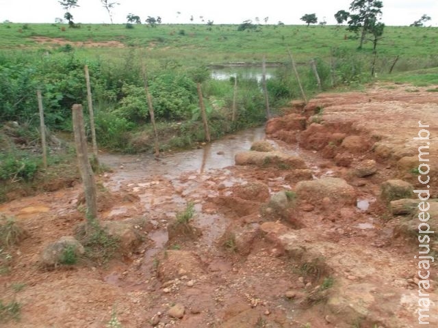 PMA autua pecuarista em R$ 15 mil por erosões, com destruição de nascentes e matas ciliares e assoreamento de córrego