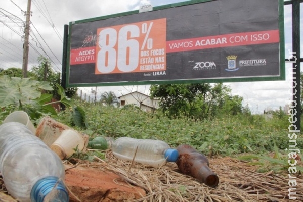 Na Capital, 85% dos focos de Aedes são domiciliares e prefeitura faz alerta