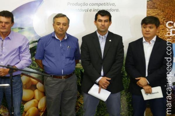 Chuvas constantes isolam lavouras e colheita de soja é prejudicada Chuvas constantes isolam lavouras e colheita de soja é prejudicada
