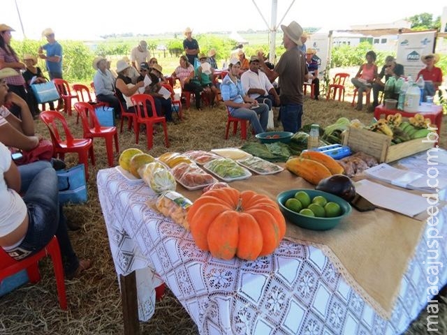 Produtores familiares assistidos pelo Hortifruti Legal conhecem programa de agricultura orgânica