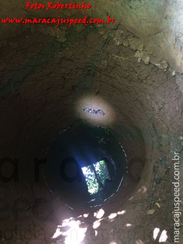 Maracaju: Corpo de Bombeiros captura cobra coral em parede de poço de água no Bairro Biquinha