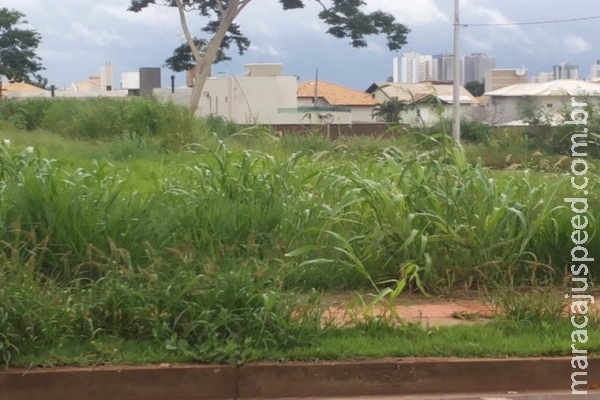 Jornalista percorre 11 bairros, monta dossiê e denuncia abandono Jornalista percorre 11 bairros, monta dossiê e denuncia abandono