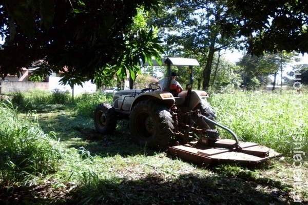 Prefeitura começa limpeza e dono de terreno cheio de mato paga até R$ 1.800