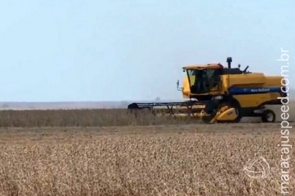 Valor da produção agropecuária de MS cresce R$ 1,466 bi em 2015 Valor da produção agropecuária de MS cresce R$ 1,466 bi em 2015