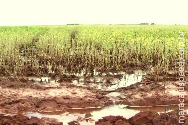 Excesso de chuva faz MS simplificar licença para drenagem em lavouras Excesso de chuva faz MS simplificar licença para drenagem em lavouras