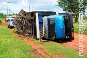 Após cair em buraco, caminhão carregado com bovinos tomba em estrada