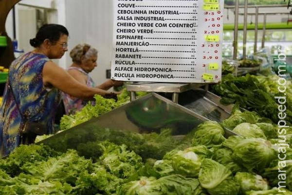 Chuva demais: Além do preço alto, está difícil encontrar alface e outras folhosas Chuva demais: Além do preço alto, está difícil encontrar alface e outras folhosas