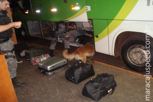 Canil do 3º BPM vasculha ônibus em busca de de drogas e promete intensificar ações na rodoviária
