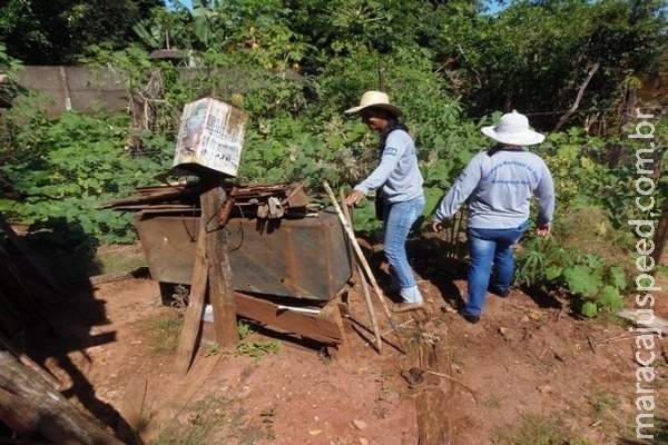Em meio a epidemia, seis municípios de MS ainda não têm casos de dengue Em meio a epidemia, seis municípios de MS ainda não têm casos de dengue