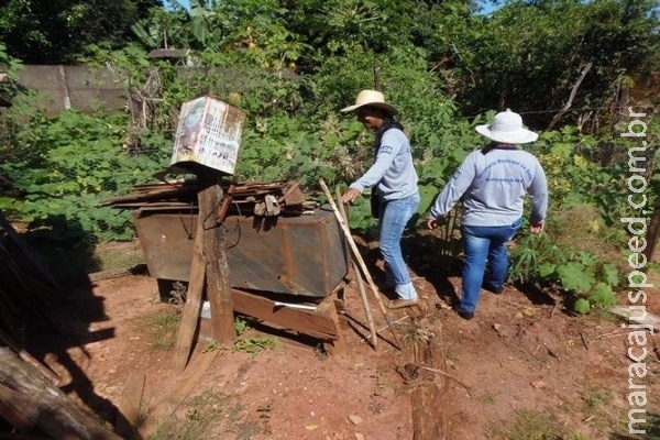 Em meio a epidemia, seis municípios de MS ainda não têm casos de dengue