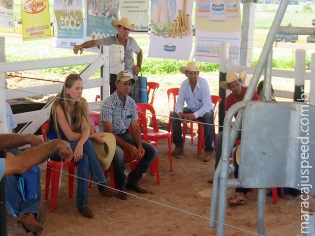 Tecnologia de manejo intensivo chama atenção de produtores assistidos pelo Mais Leite