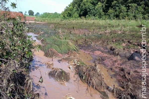 Proprietário rural leva multa de R$ 10 mil por dano ambiental Proprietário rural leva multa de R$ 10 mil por dano ambiental