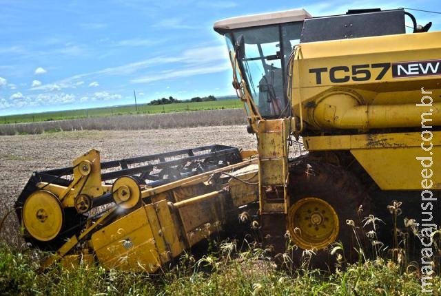 Agricultor aproveita janela de sol e intensifica colheita de soja em MS Agricultor aproveita janela de sol e intensifica colheita de soja em MS