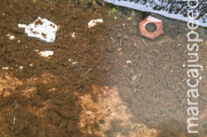 Adolescente que cumpre medida na Unei é diagnosticada com zika vírus Adolescente que cumpre medida na Unei é diagnosticada com zika vírus