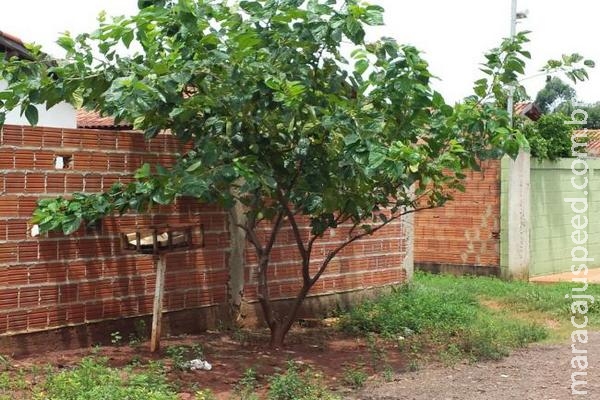 Perigo de explosão: mãe e filha sofrem queimaduras após vazamento de gás Perigo de explosão: mãe e filha sofrem queimaduras após vazamento de gás