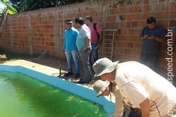 Quase 90% dos focos de Aedes aegypti estão dentro das residências Quase 90% dos focos de Aedes aegypti estão dentro das residências