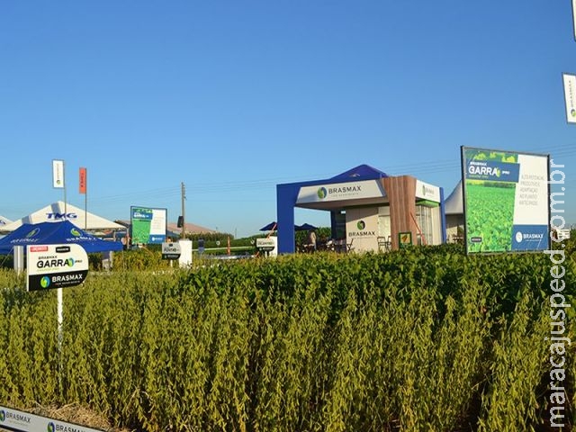 Brasmax apresenta dois lançamentos na Showtec Brasmax apresenta dois lançamentos na Showtec