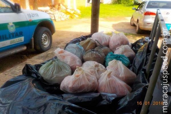 PM apreende 200 Kg de carne de jacaré que iriam para restaurantes