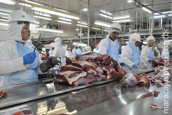 Exportação estadual de industrializados registra queda de 12,9% em janeiro Exportação estadual de industrializados registra queda de 12,9% em janeiro