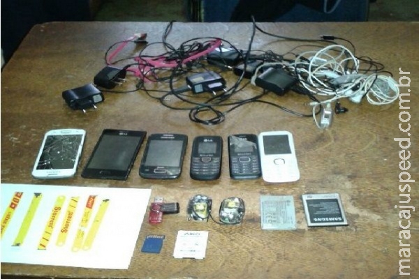 Agentes encontram celulares e armas artesanais em hortas Agentes encontram celulares e armas artesanais em hortas