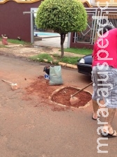 Moradores criam grupo no WhatsApp para combinar de pintar buracos