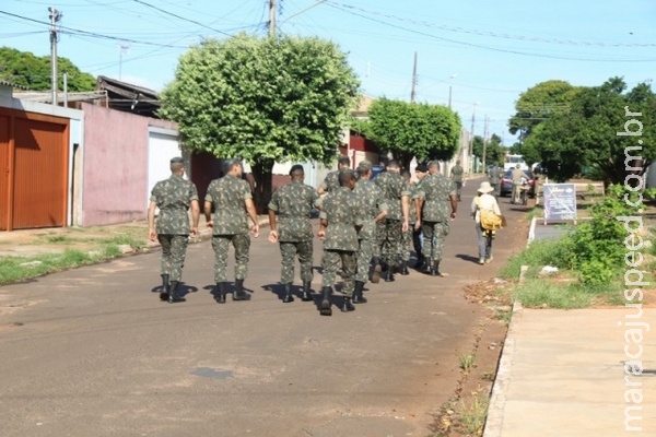 Morcego com raiva é encontrado em bairro e cães recebem vacina