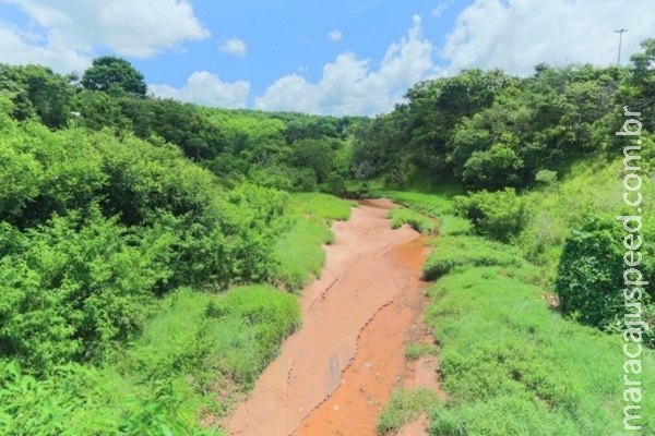 No Sóter, população valoriza, mas parque é reflexo do abandono No Sóter, população valoriza, mas parque é reflexo do abandono