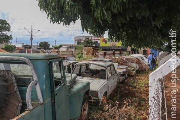 Mau exemplo a vizinhos, pátio de secretaria é paraíso para mosquito Mau exemplo a vizinhos, pátio de secretaria é paraíso para mosquito