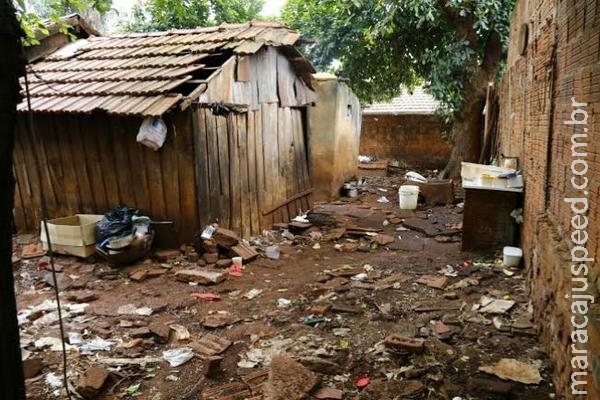 Polícia recolhe cerca de 140 galinhas e montanha de lixo em casa de irmãs