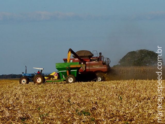 Colheita da soja atinge 10% em MS, alcançando 240 mil hectares