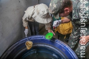 Sem dados de infestação, combate ao Aedes aegypti é feito "no escuro" Sem dados de infestação, combate ao Aedes aegypti é feito "no escuro"