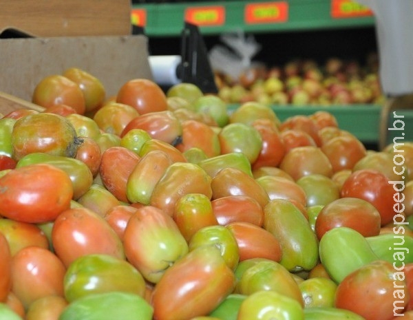 Tomate sobe 46,83% e puxa cesta básica em Campo Grande, diz Dieese Tomate sobe 46,83% e puxa cesta básica em Campo Grande, diz Dieese
