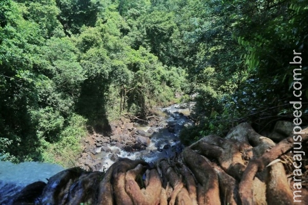 Equipes vasculham cachoeira atrás de arma usada para matar manicure